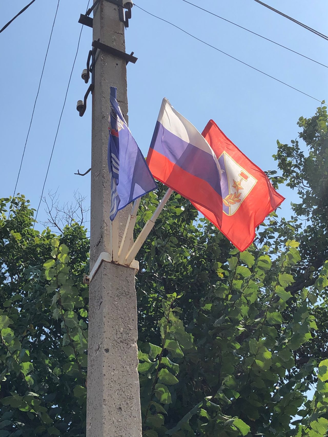 Pozdravlyaem s Dnem Gosudarstvennogo flaga Rossijskoj Federacii 01
